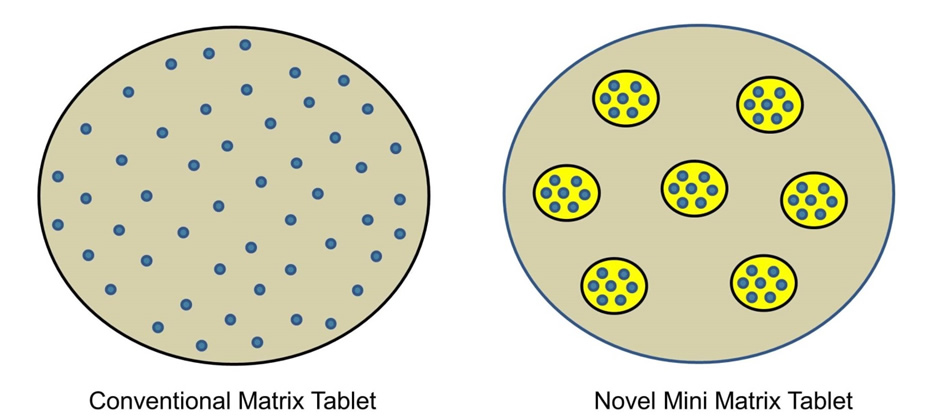 Conceptualisation of the mini-tablet system. Grey area is the external polymer domain; the yellow area is the internal domain polymer and the blue dots represent the drug